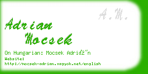 adrian mocsek business card